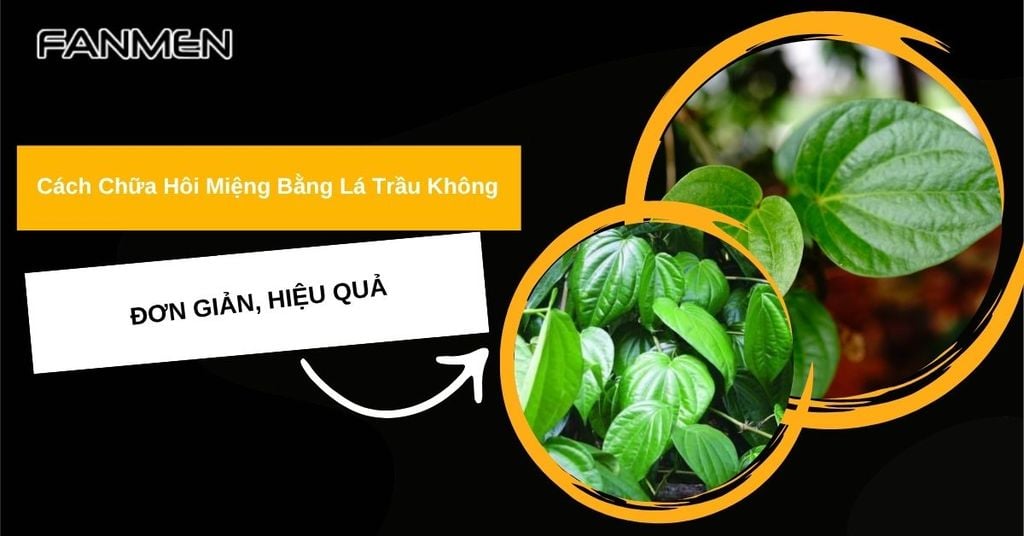 Chữa hôi miệng bằng lá trầu không