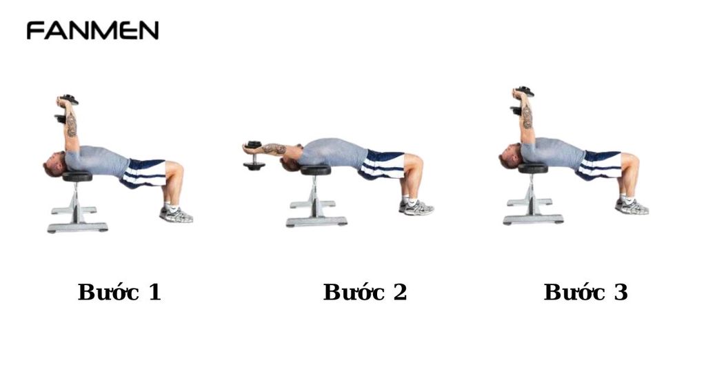 Bài tập Straight Arm Dumbbell Pullover