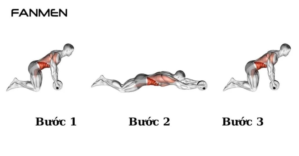 Bài tập Ab Roller