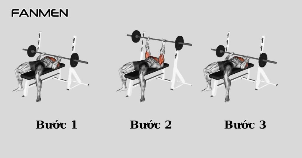Bài tập Barbell Bench Press