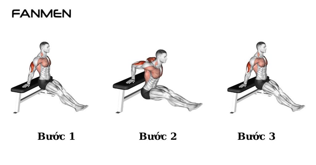 Bài tập Bench Dip