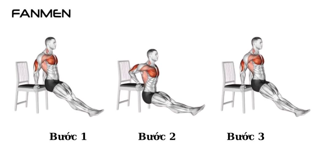 Bài tập Bench Dip
