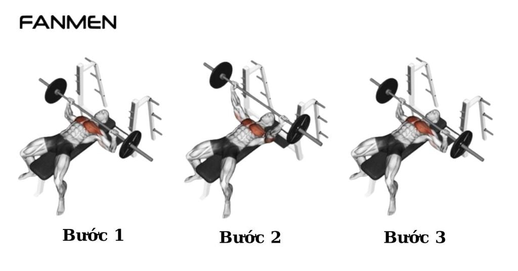 Bài tập Bench Press