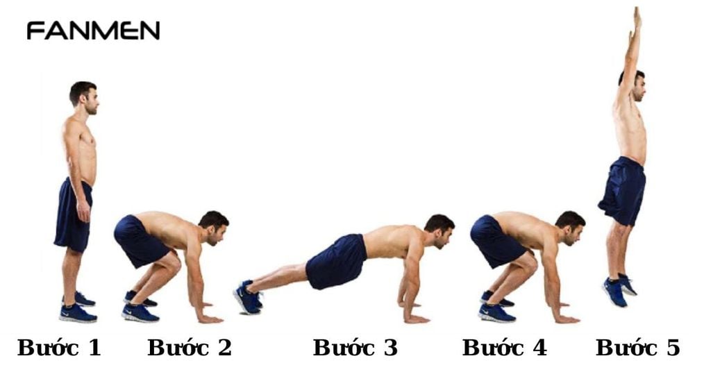 Burpee