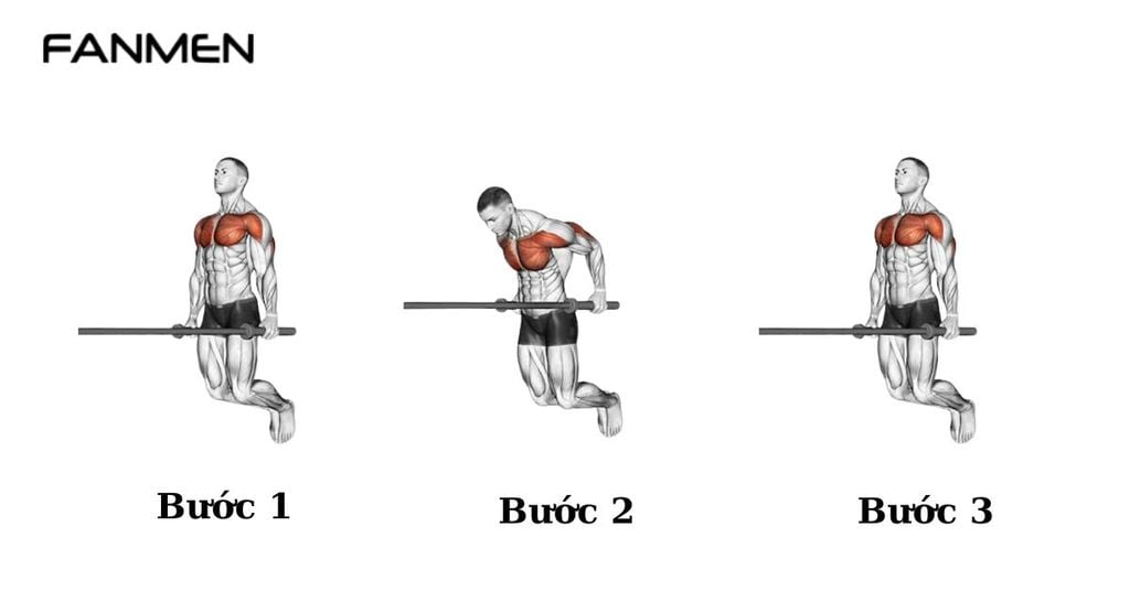 Bài tập Chest Dips