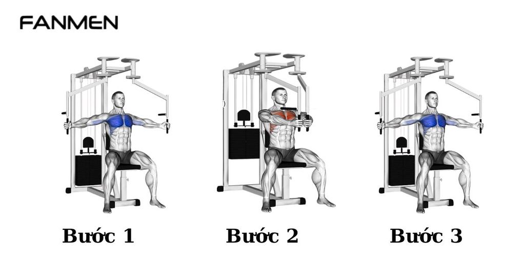 Bài tập Chest fly machine