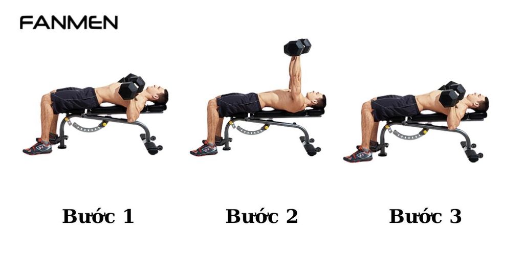 Bài tập Dumbbell Bench Press