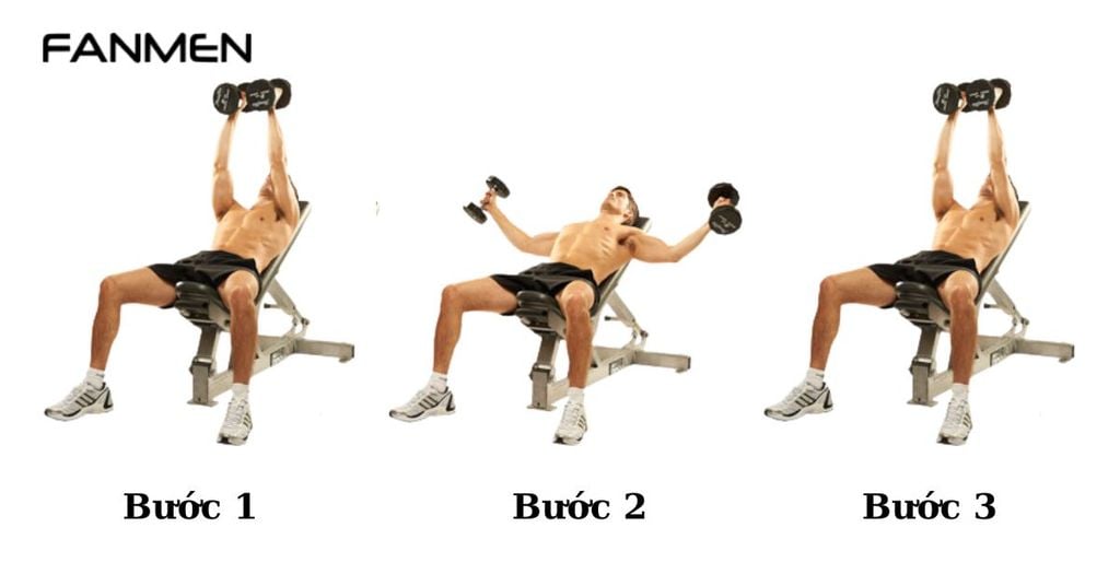 Bài tập Dumbbell Flyes