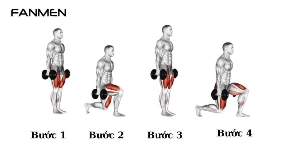 Bài tập Dumbbell Lunge