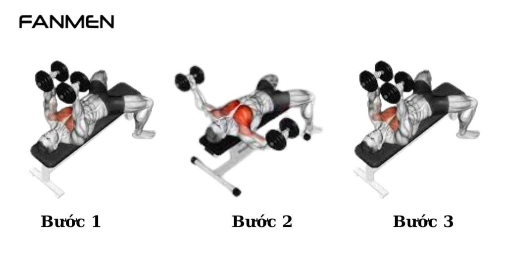 Bài tập Floor Dumbbell Flyes
