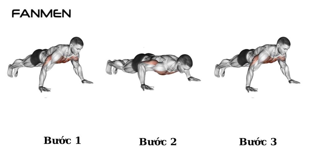 Bài tập ngực dưới hít đất