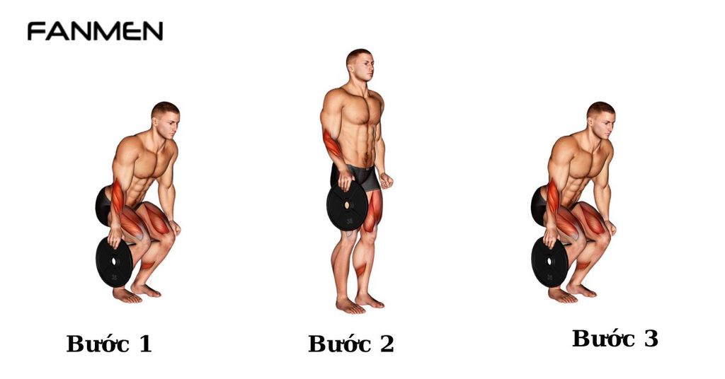 Bài tập Plate Pinches