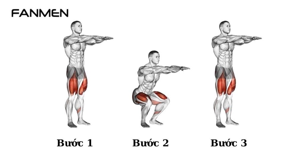 Bài tập Squat