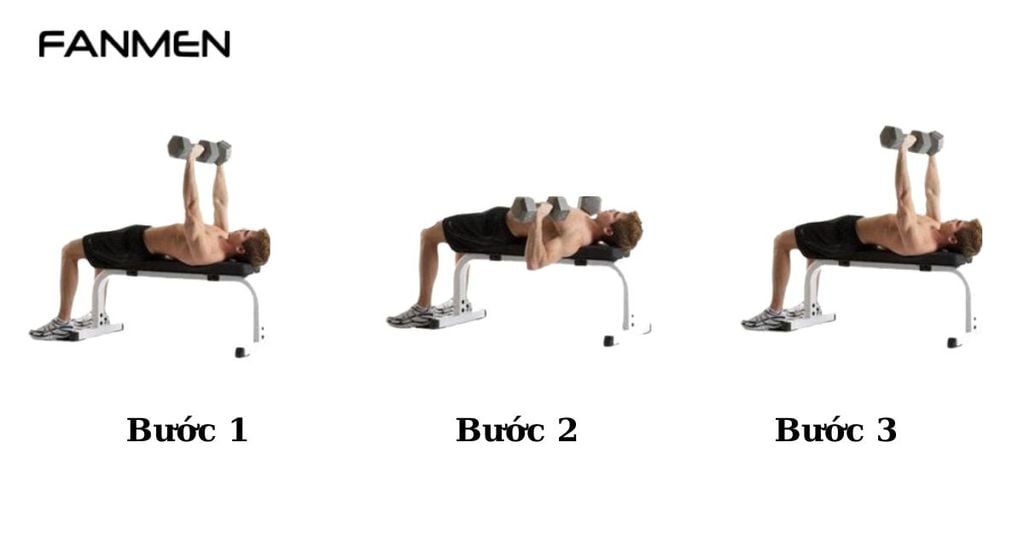 Bài tập tạ tay Bench Press