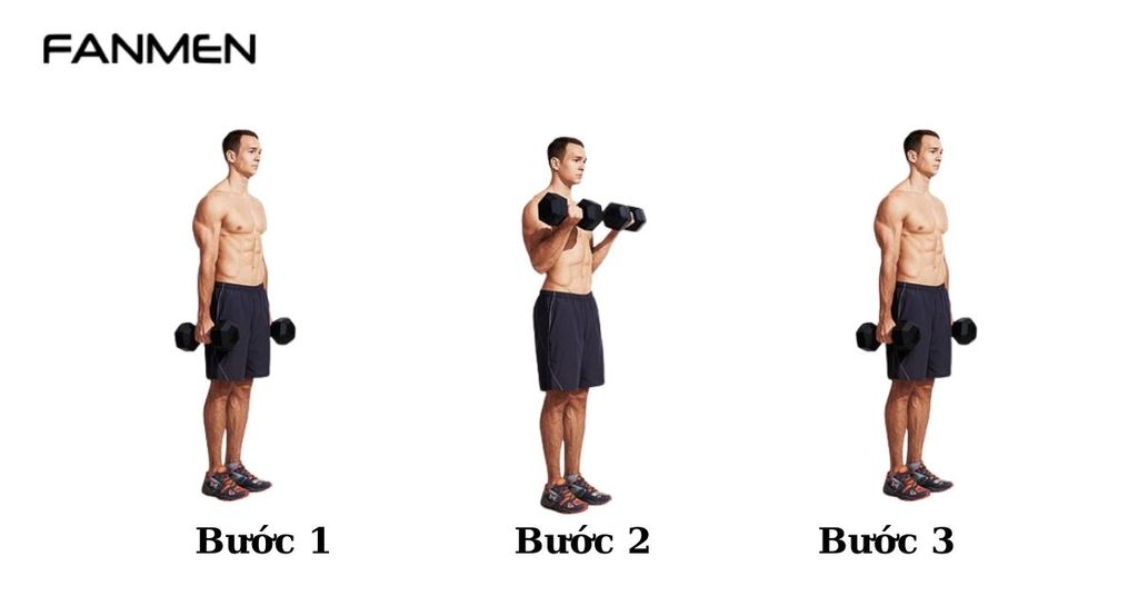 Bài tập tăng cơ Bicep curls