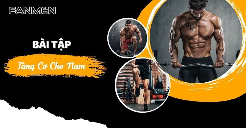 Bài tập tăng cơ cho nam
