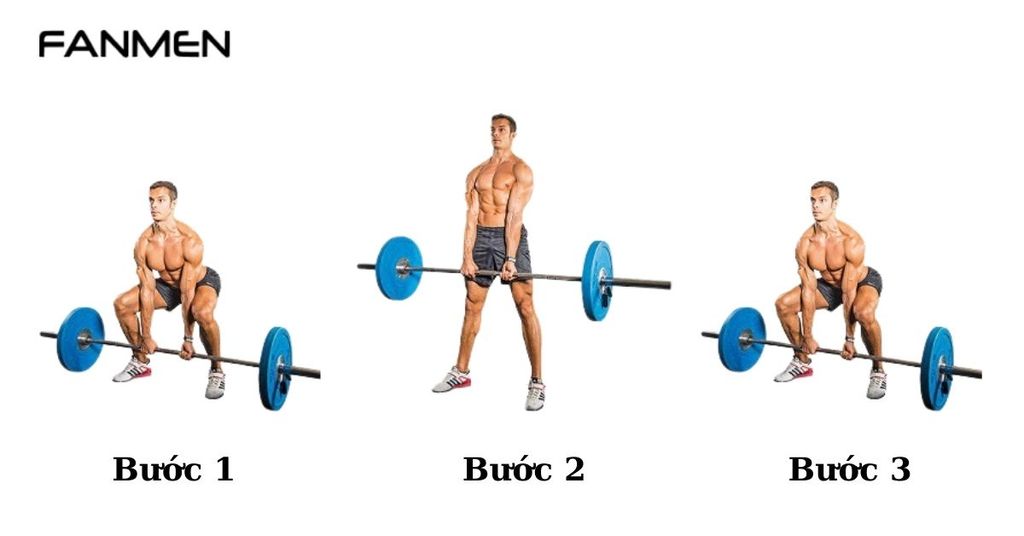 Bài tập tăng cơ Deadlift