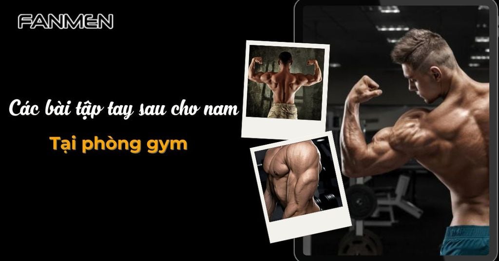 Các bài tập tay sau cho nam tại phòng gym