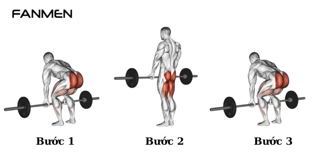 Bài tập thân dưới Deadlift