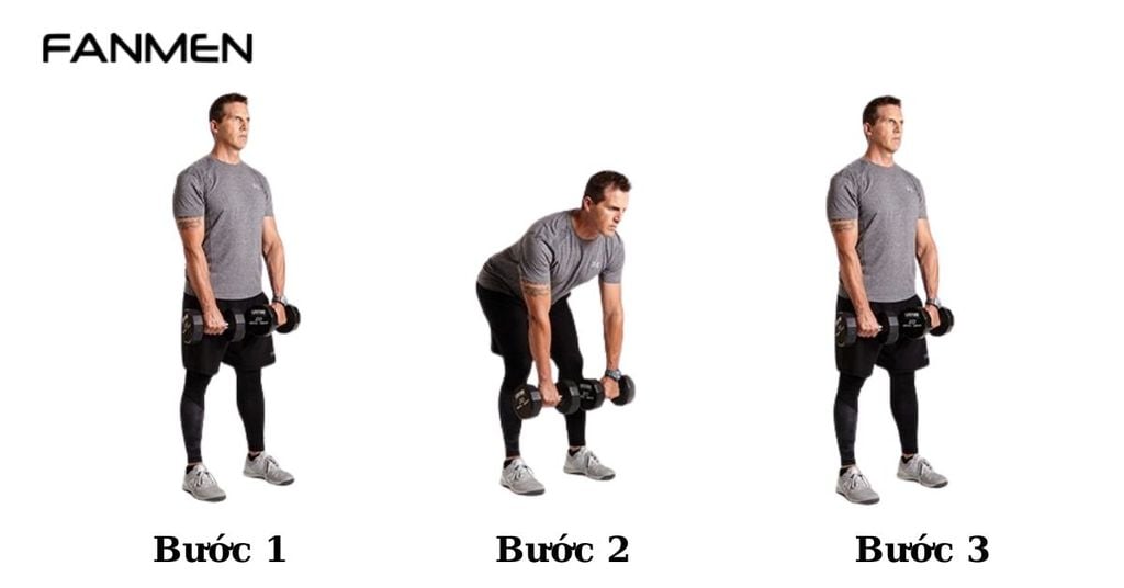 Bài tập thân dưới Dumbbell deadlift