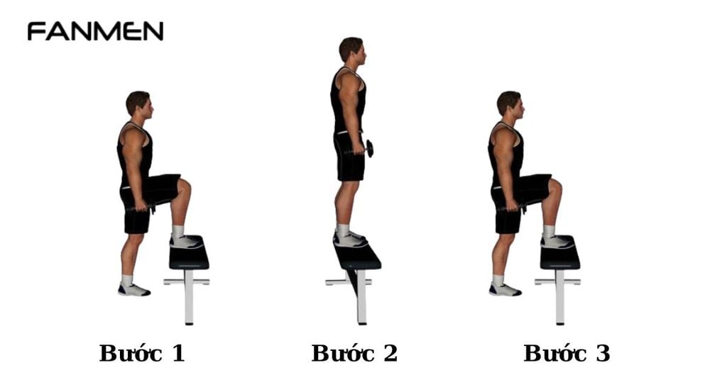 Bài tập thân dưới Dumbbell Step Up