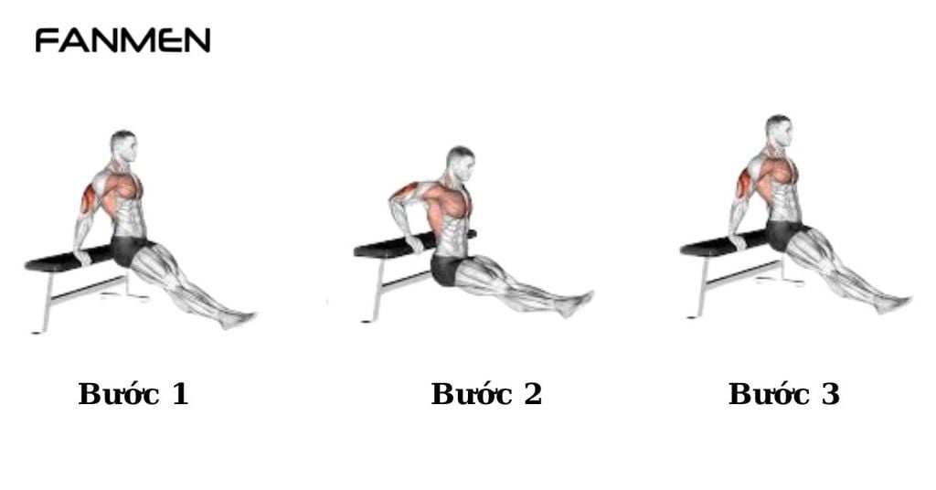 Bài tập Tricep Dips