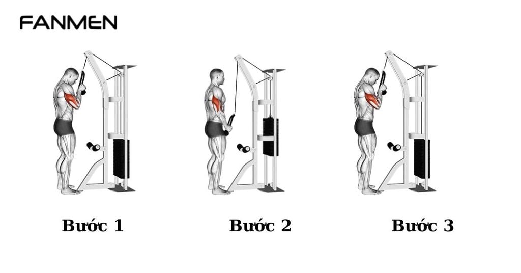 Bài tập Tricep rope pushdown