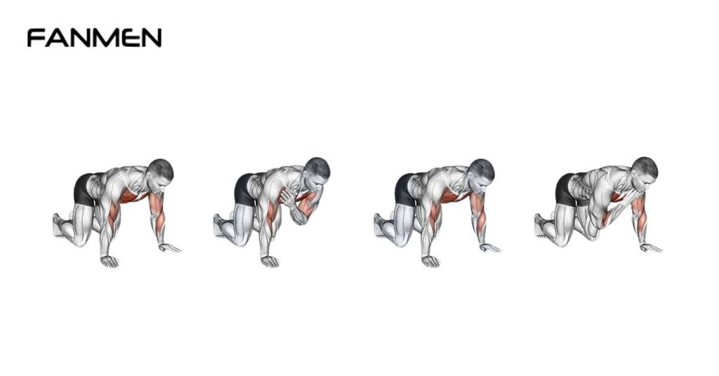 Bear Crawl Shoulder Tap