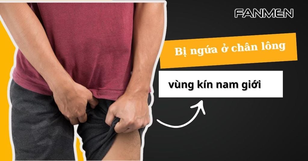 Bị ngứa ở chân lông vùng kín nam giới