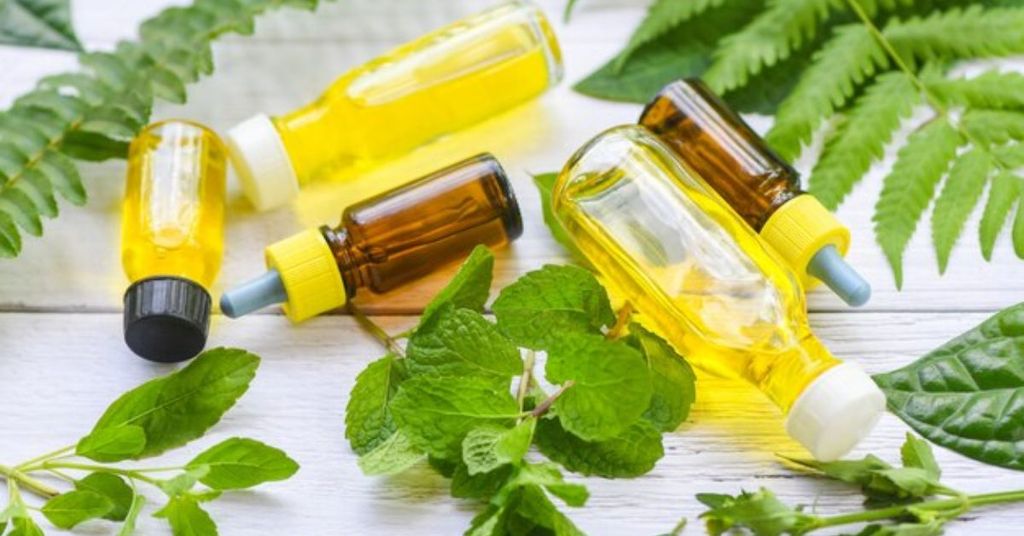 tinh dầu tràm trà