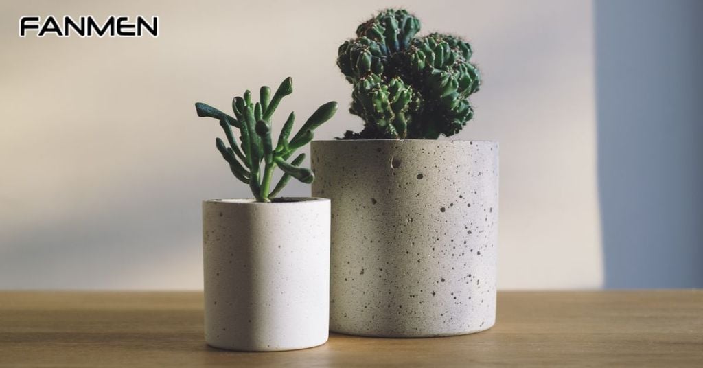 tặng Đồ công nghệ cho nam bạch dương