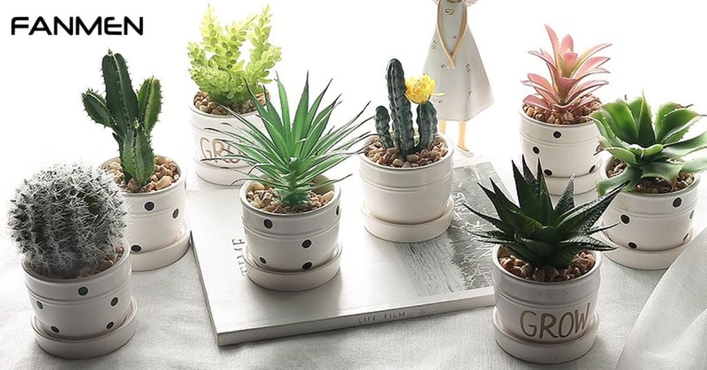 Chậu cây để bàn