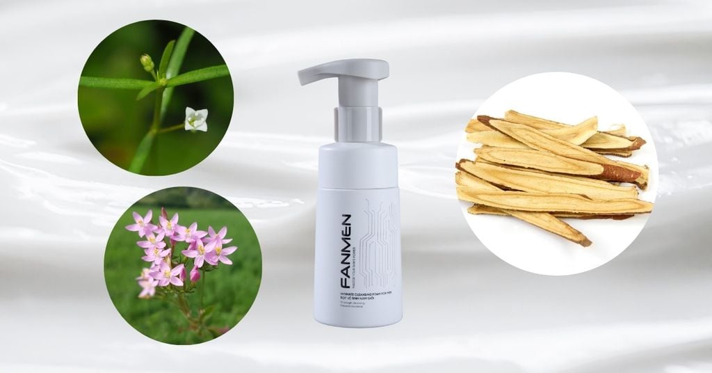 chiết xuất cam thảo