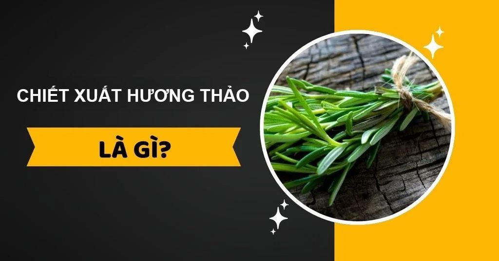 chiết xuất hương thảo