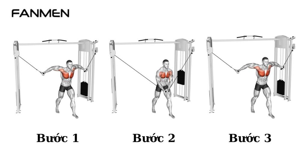 Động tác High to low cable chest fly