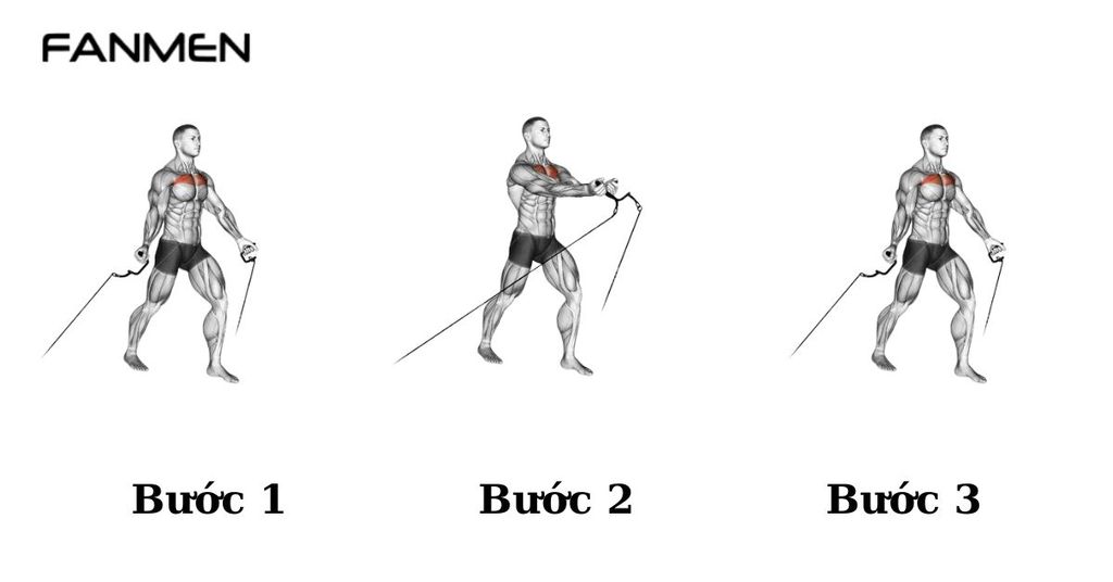 Động tác Low to high cable chest fly