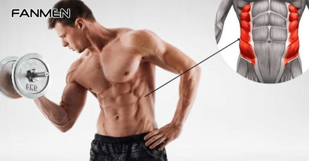 Gợi Ý Lịch Tập Cơ Liên Sườn Cho Nam