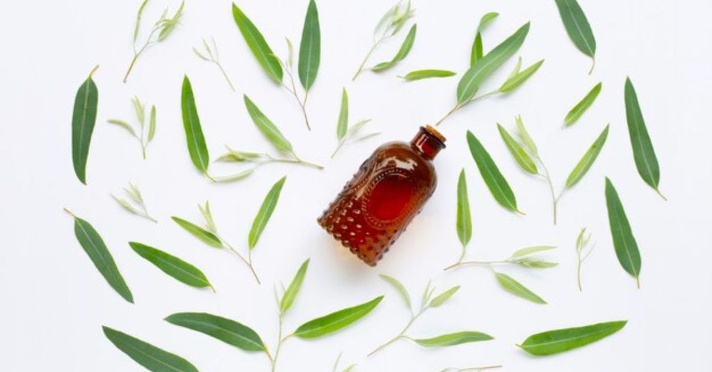 tinh dầu tràm trà