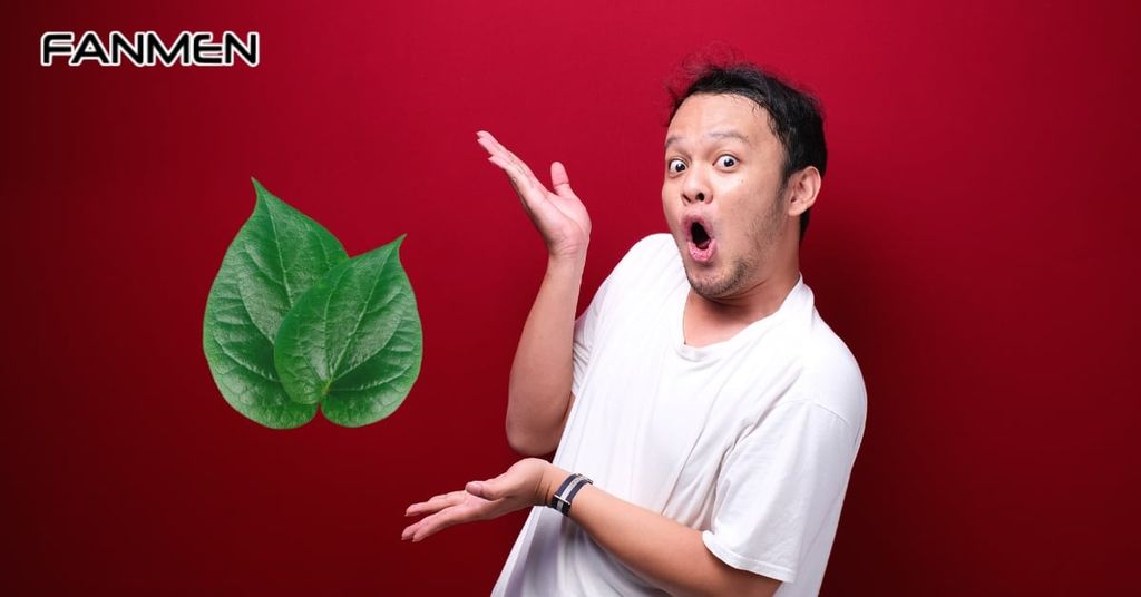 Lưu ý khi chữa hôi miệng bằng lá trầu không