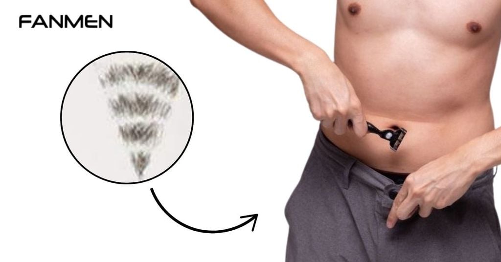 Kiểu dáng sáng tạo