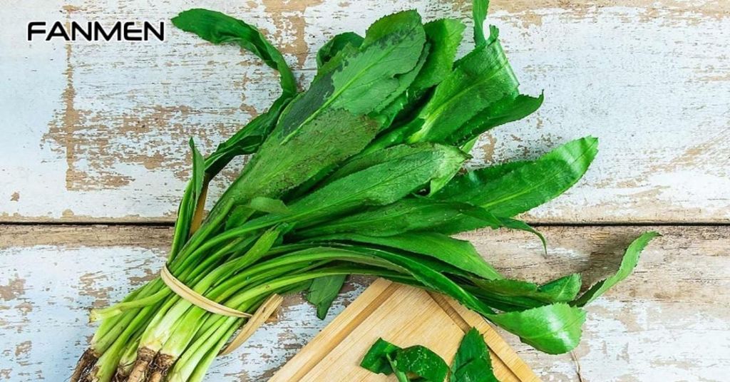 Lưu ý khi chữa hôi miệng bằng lá mùi tàu