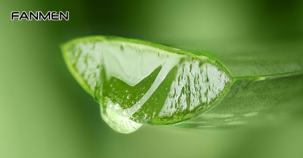 Làm trắng da tay bằng nha đam