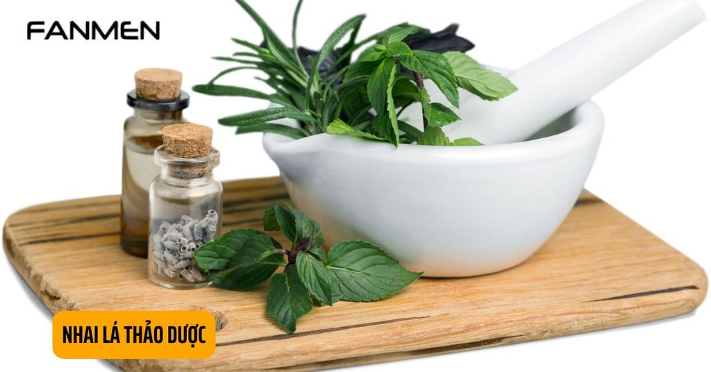 Nhai lá thảo dược