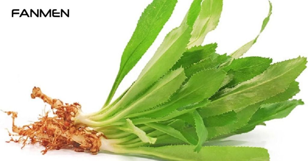 Sử dụng trực tiếp lá mùi tàu tươi