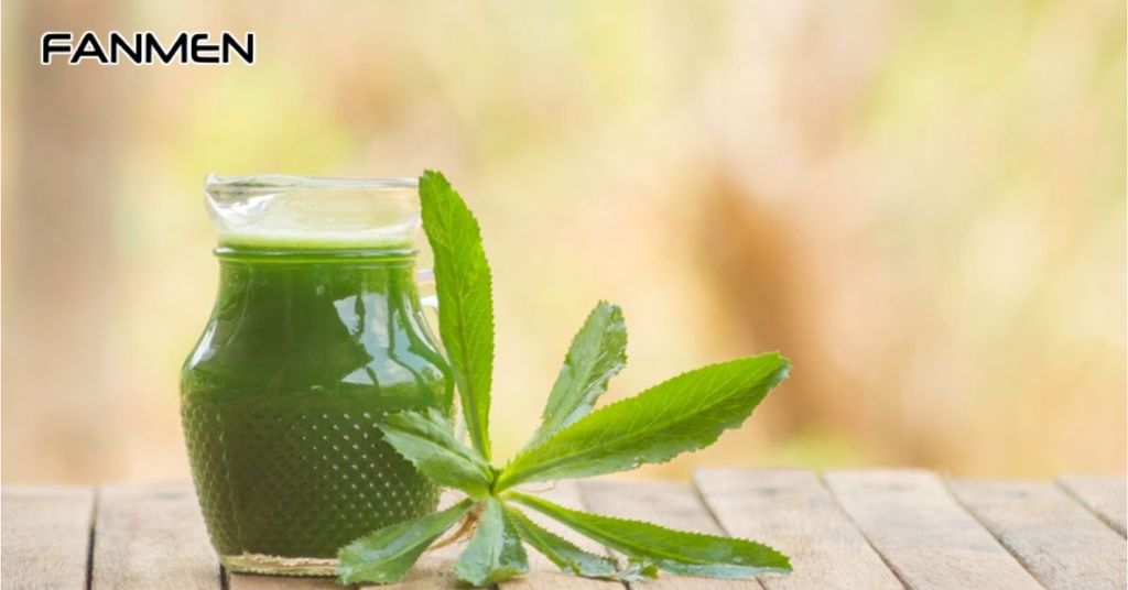 Súc miệng bằng nước mùi tàu