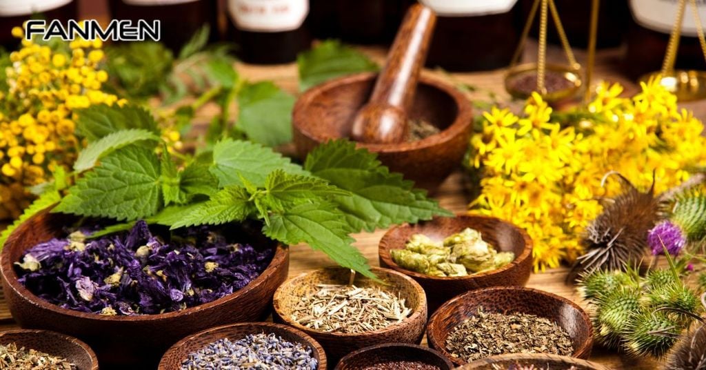 Một số lưu ý khi dùng thảo dược trị hôi miệng