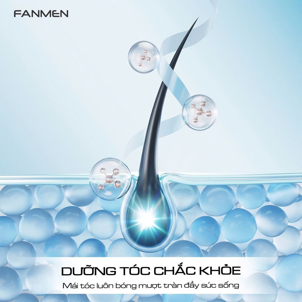 dầu gội Fanmen