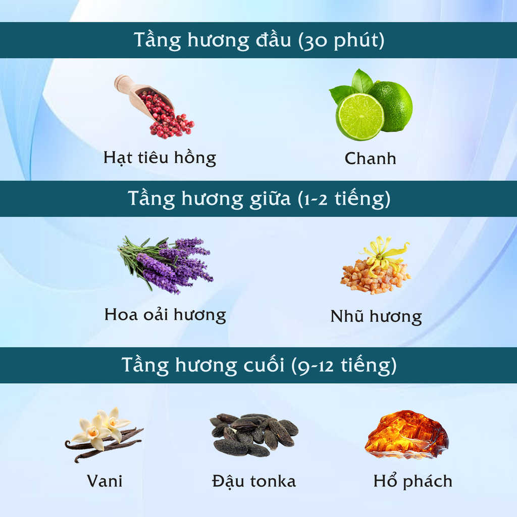 Hương thơm nước hoa nam Safari Sunset